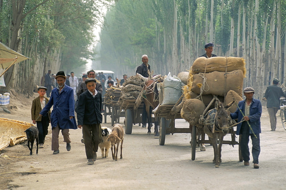 Sunday market coming to town, Kashi, Xinjiang, China, Asia