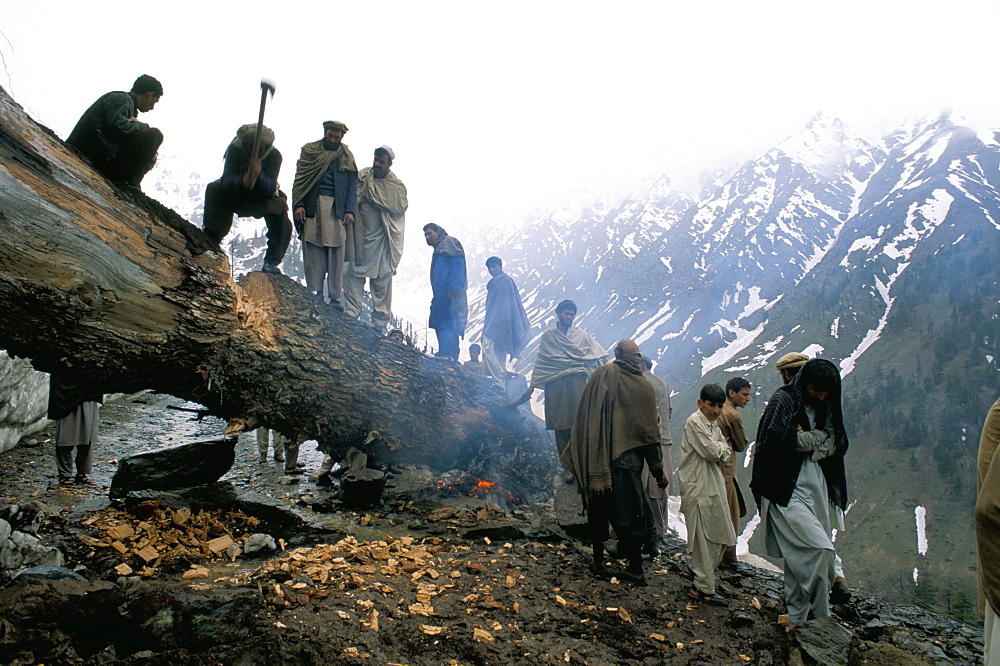 Clearning a tree-slide, Lowari Pass, Pakistan, Asia