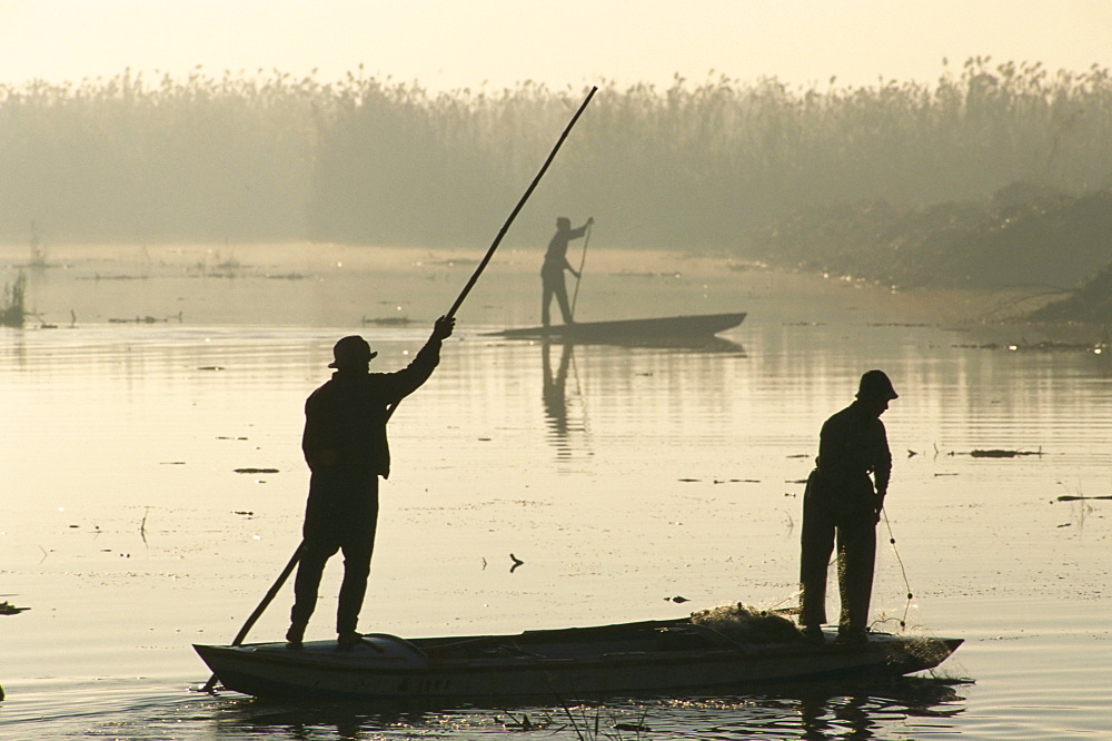 Fishermen at dawn, Lake Mareotis, near Alexandria, Egypt, North Africa, Africa