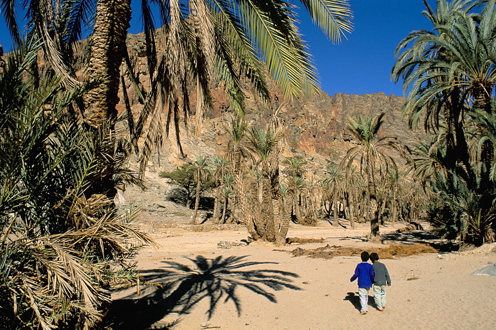 Two children in oasis, Wadi Feiran, Sinai, Egypt, North Africa, Africa