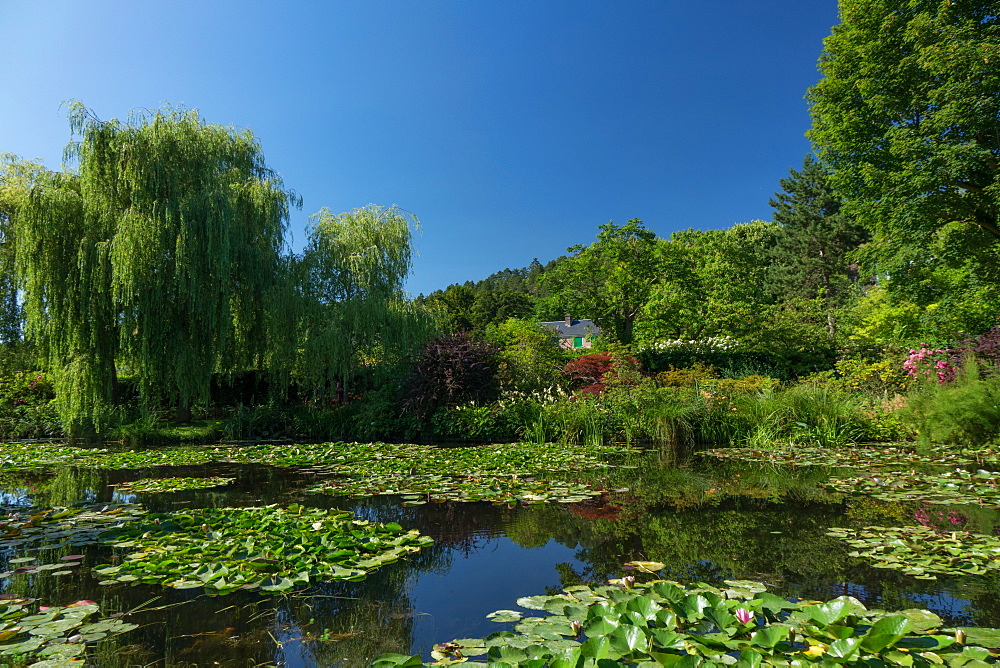 Monet's house behind the waterlily pond, Giverny, Normandy, France, Europe