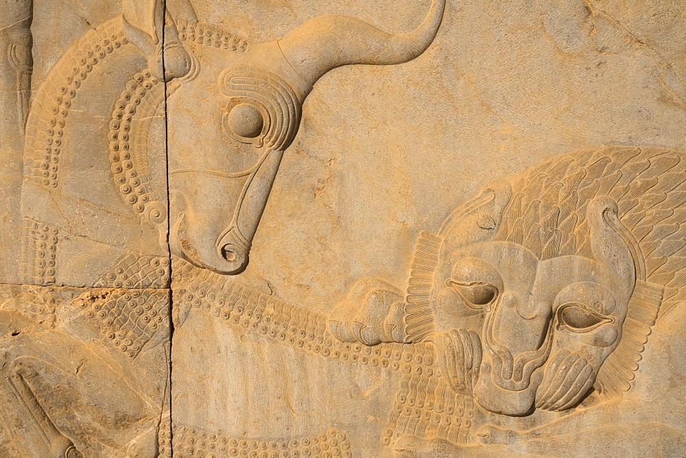 Carved relief of lion overcoming a bull, symbolising the advent of Spring and the Iranian New Year (Nowruz), Apadana Palace, Persepolis, UNESCO World Heritage Site, Iran, Middle East