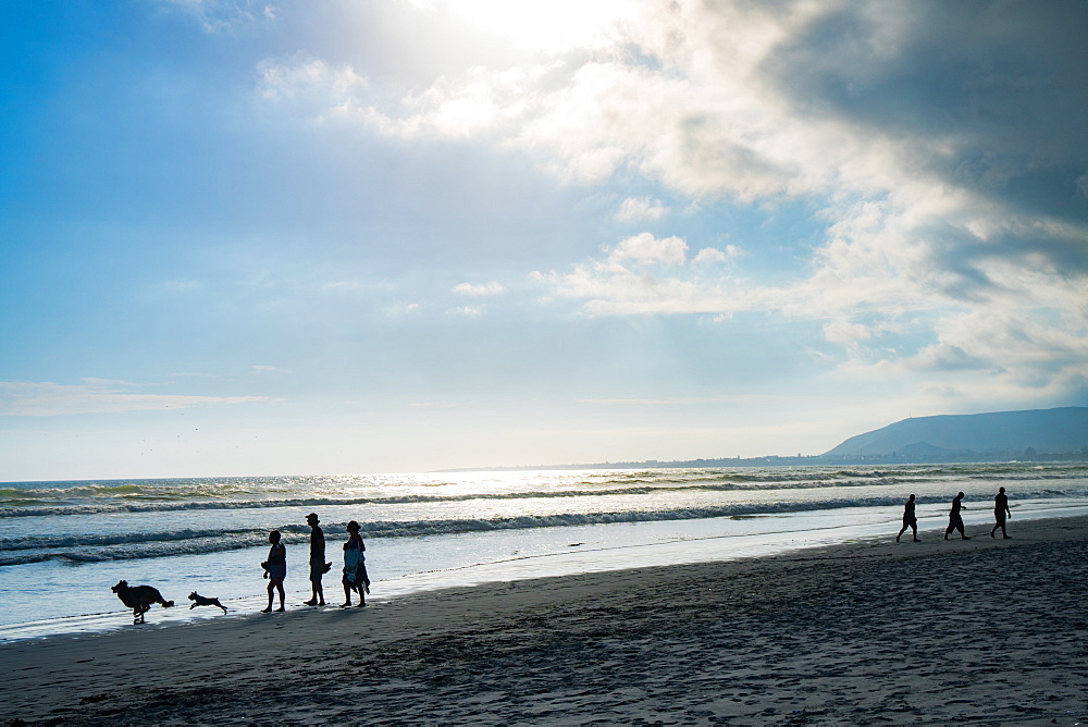 Silhouetted people and their dogs walking on the main beach as the sun sets, Hermanus, South Africa, Africa