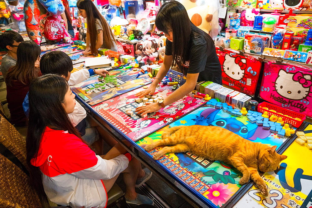 Beautiful ginger cat sprawled over game table while vendor sorts and sets up mahjong tiles for young customers, Taipei, Taiwan, Asia