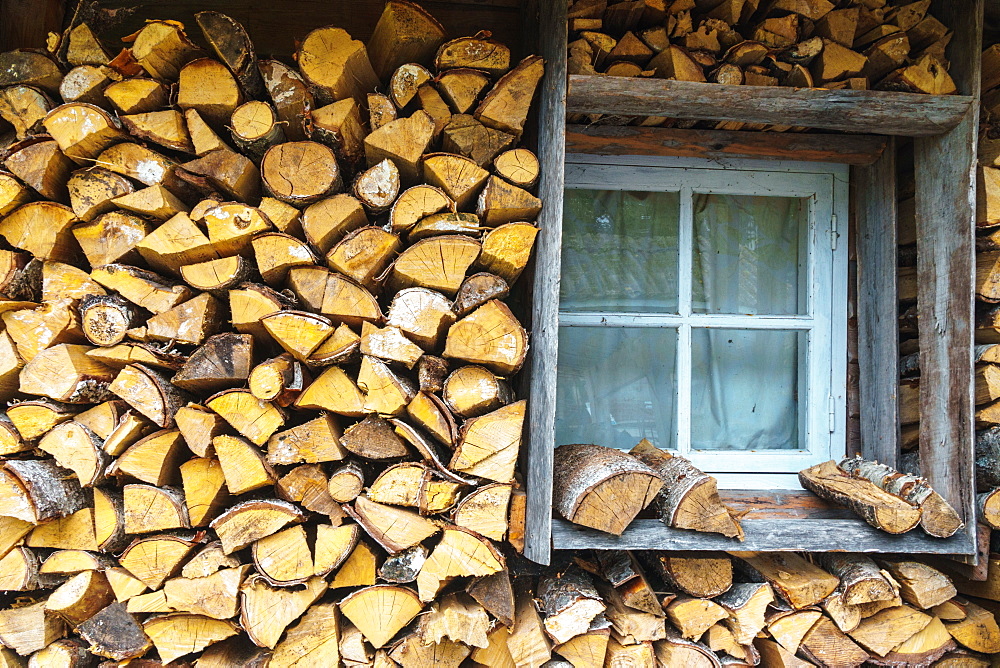 Storing up logs for winter, Kasmu, Estonia, Europe