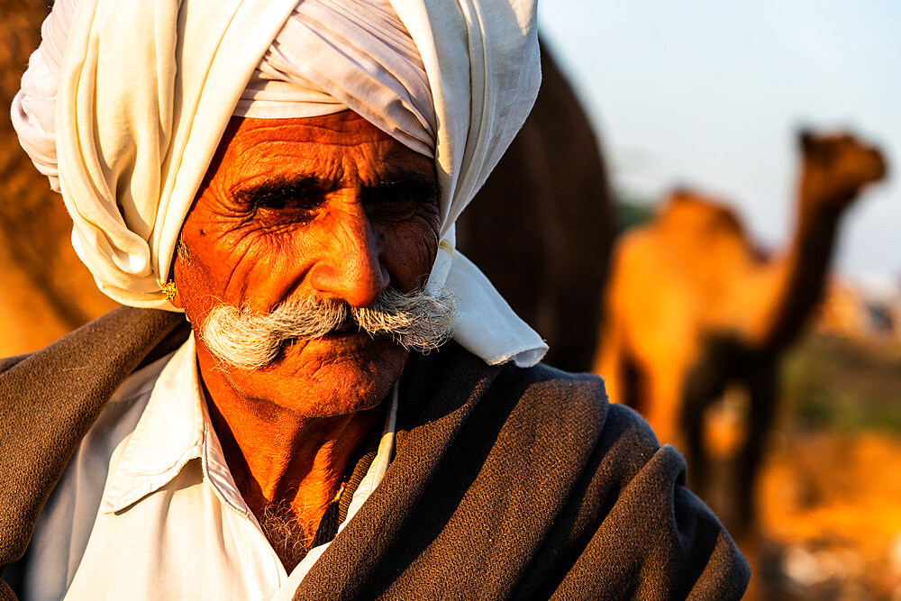 Close-up portrait of camel trader with cream turban and impressive moustache, camel in background, Pushkar Camel Fair, Pushkar, Rajasthan, India, Asia