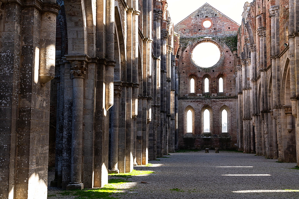 Nave of roofless 13th century Gothic Cistercian Abbey of San Galzano, Chiusdino, Tuscany, Italy, Europe