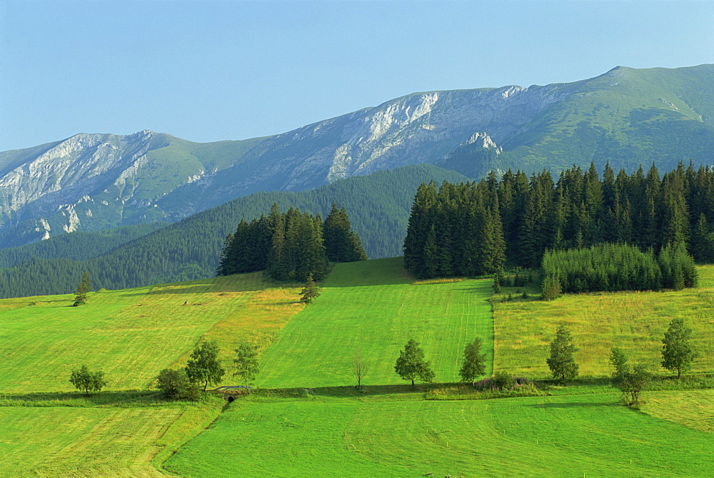 Farmland, High Tatras, near Zdair and the Polish border, Slovakia, Europe