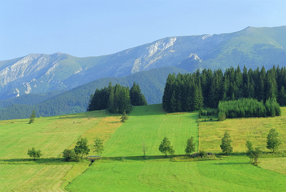 High Tatra Mountains, near Zdiar, Slovakia, Europe