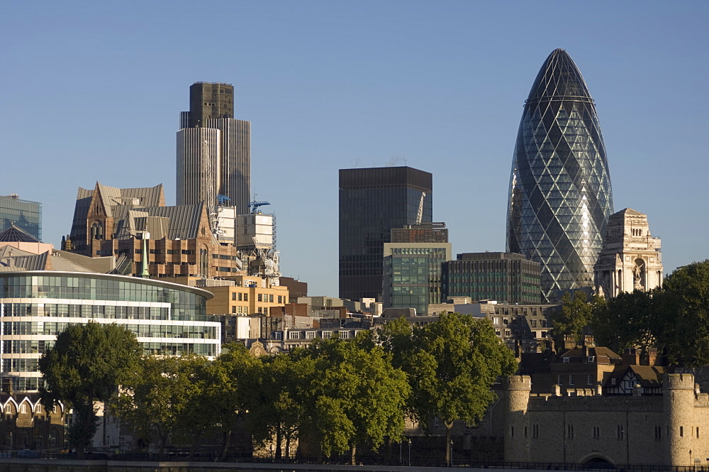 City of London skyline, 30 St. Mary Axe building on the right, London, England