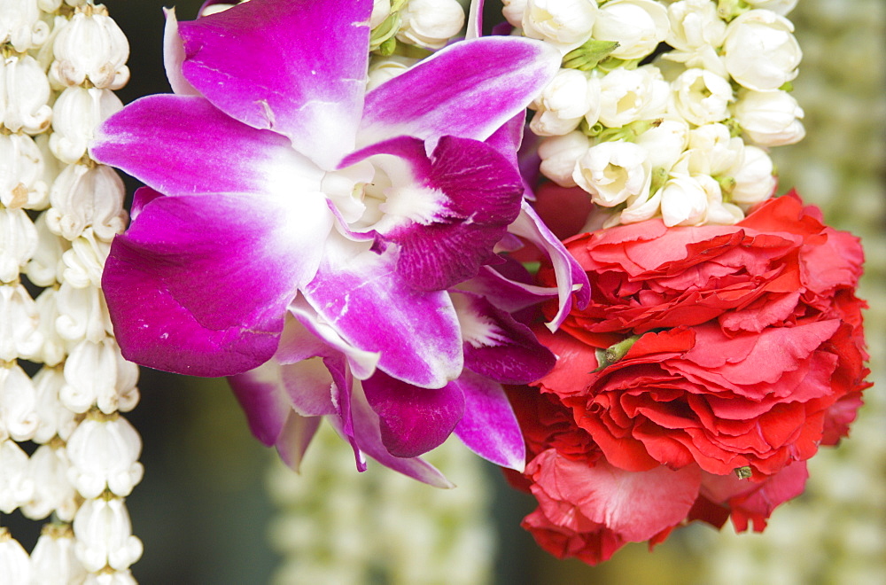 Flower garlands on a stall for temple offerings, Little India, Singapore, South East Asia