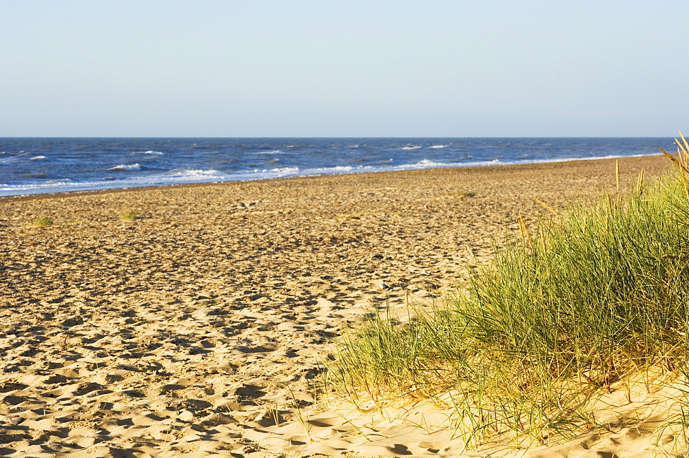 Beach, Southwold, Suffolk, England, United Kingdom, Europe