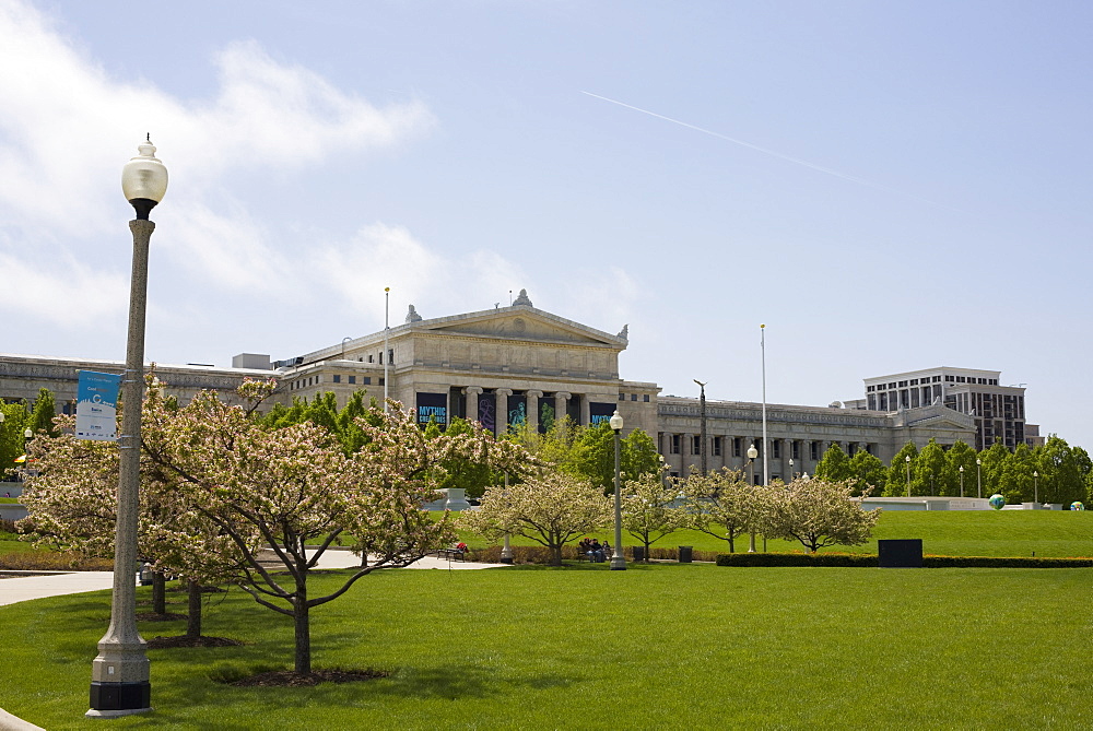 Field Museum, Chicago. Illinois, United States of America, North America