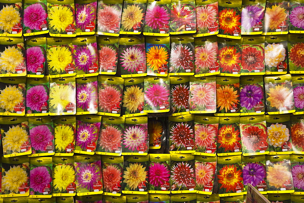 Seed packets, Bloemenmarkt (flower market), Amsterdam, Netherlands, Europe