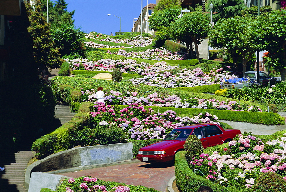 Driving down Lombard Street, the crookedest street in the world, Russian Hill, San Franscisco, California, USA