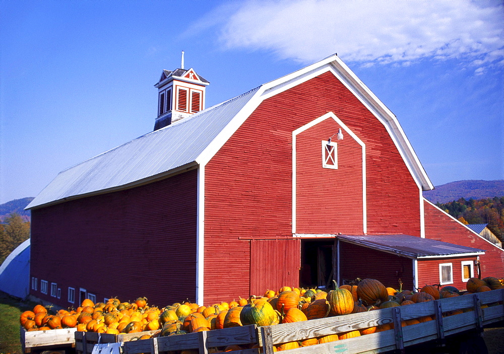 Crates of Pumpkins Outside a Farmhouse in Vermont, New England, USA