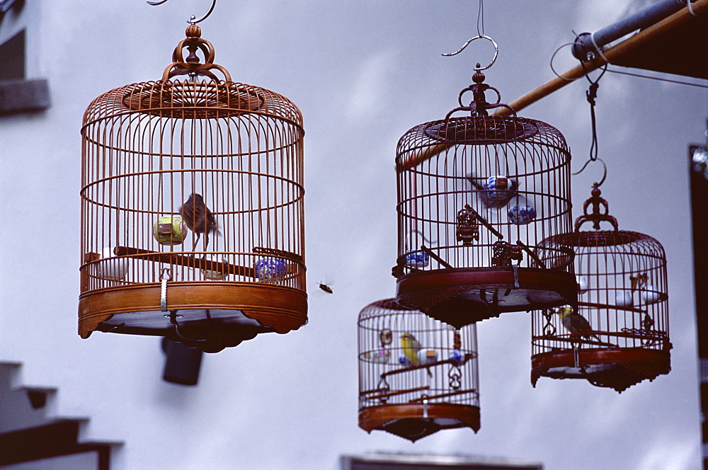 Caged birds for sale, Yuen Po Street Bird Garden, Mong Kok, Kowloon, Hong Kong, China, Asia