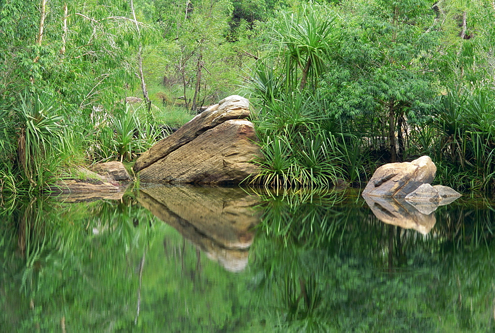 Reflections of rocks and Pandanus species in the waters of Jim Jim Creek in Kakadu National Park, Northern Territory, Australia, Pacific