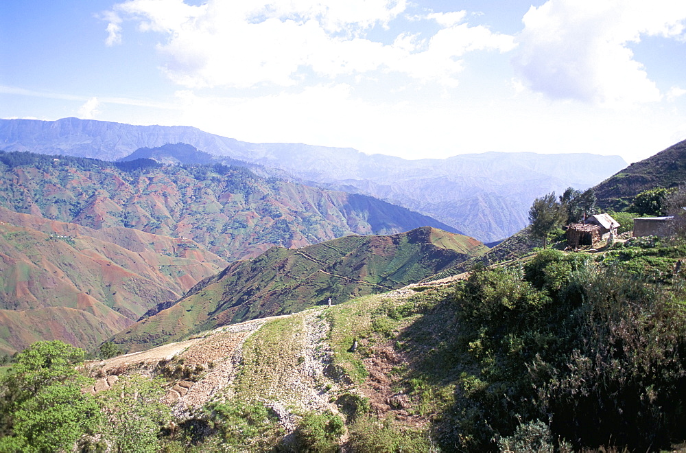 Terraces on slopes of mountain interior at 1800m altitude, Bois d'Avril, Haiti, island of Hispaniola, West Indies, Central America