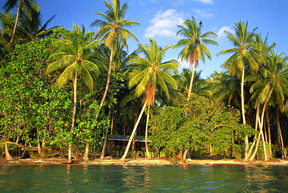 The beach, palm trees and cottages of Uepi Island resort in the Solomon Islands, Pacific Islands, Pacific