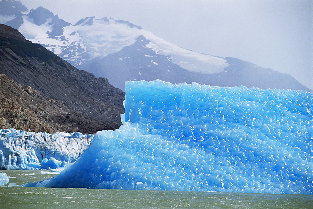 Glacial icebergs on Lago Argentina, Patagonia, Argentina, South America