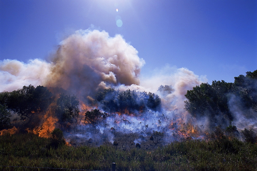 Bush fire, St. Francis, Eastern Cape, South Africa, Africa