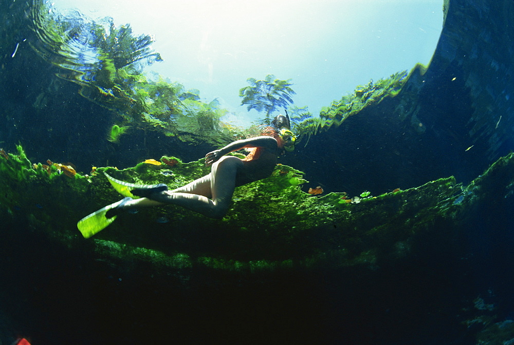 Woman snorkelling, Blue hole, Santo, Vanuatu, South Pacific Islands, Pacific