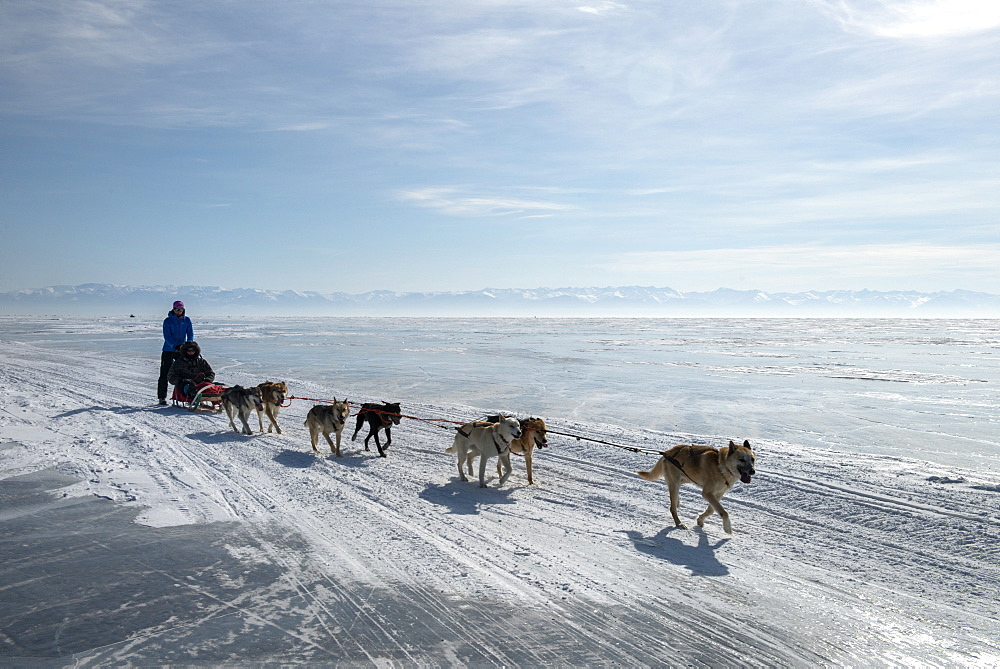 Visitors enjoying dog sledding on the ice in front of the village of Listvyanka, Irkutsk Oblast, Siberia, Russia, Eurasia