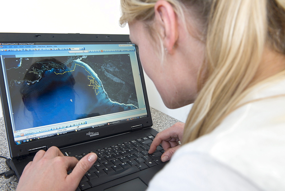 Shark scientist monitors live satellite tagged great white shark (Carcharodon carcharias) on computer, Western Cape, South Africa, Africa