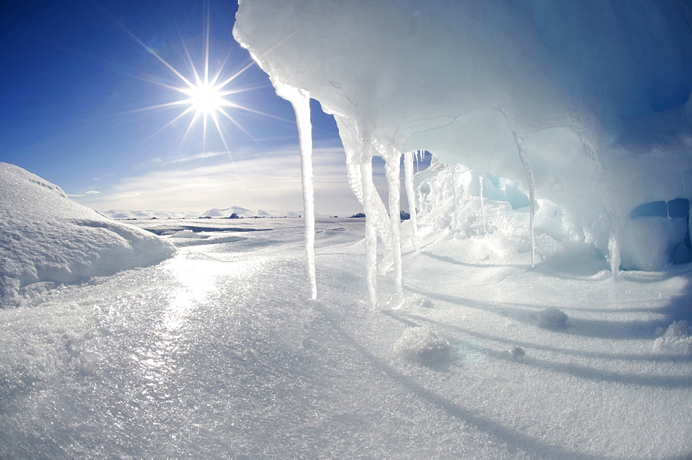 Icicles melting in the Arctic midnight sun, Nunavut, Canada, North America