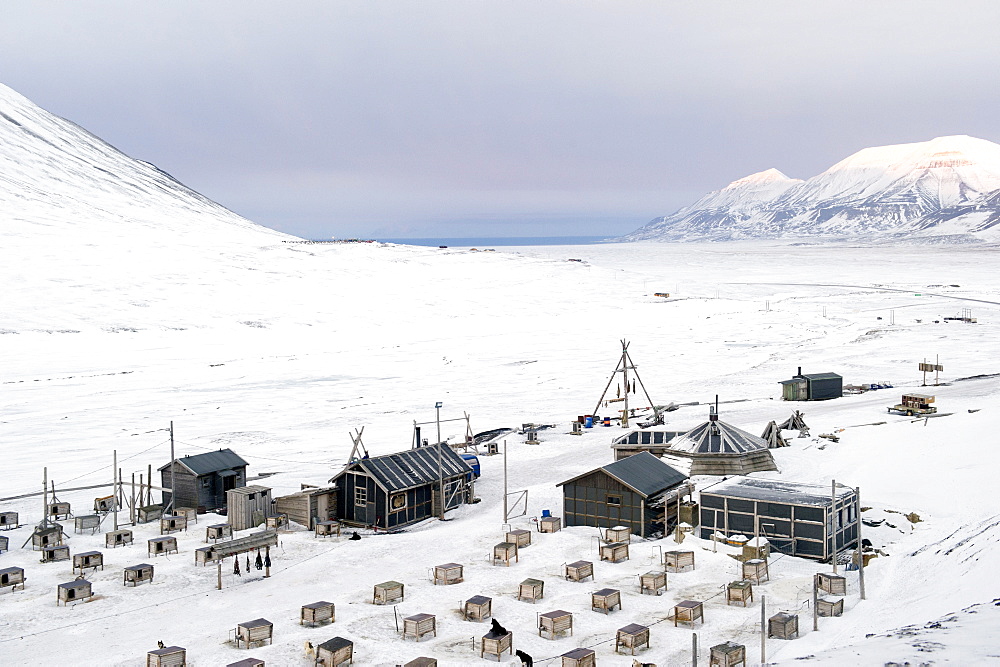 Husky dog sled operation where each dog has its own kennel raised off ground and seal carcasses are hung nearby to feed the animals, Svalbard, Arctic, Norway, Scandinavia, Europe