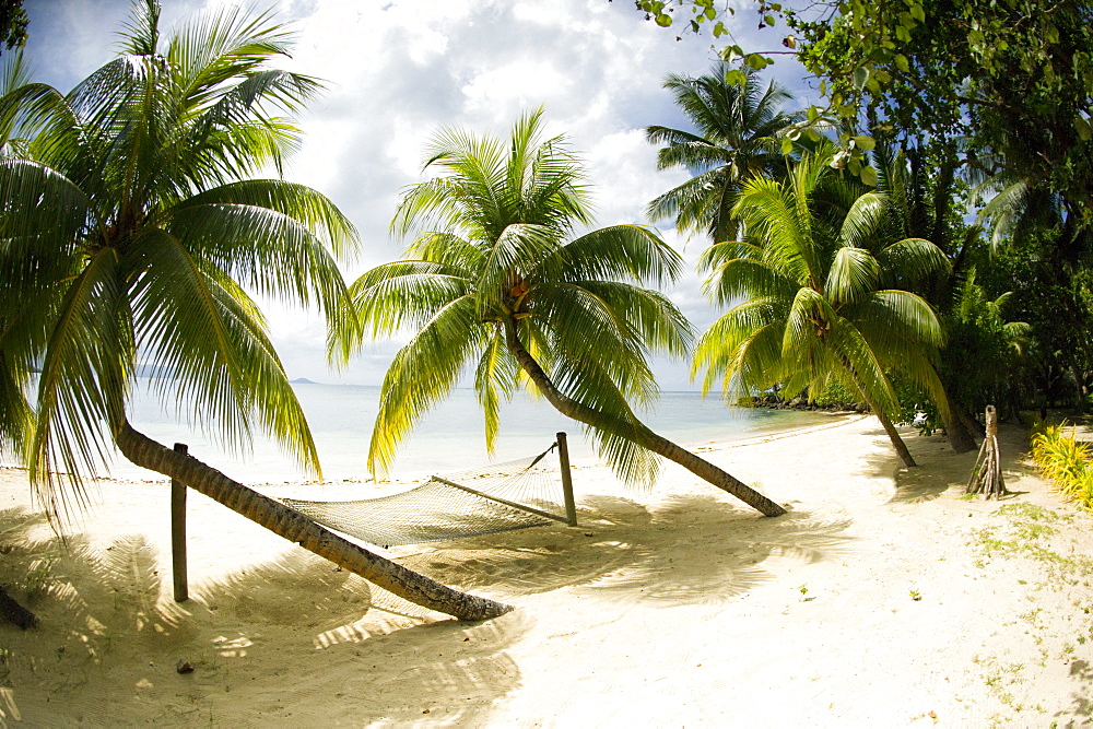 Tropical island beach with hammock at Matangi Island Resort, Vanua Levu, Fiji, Pacific