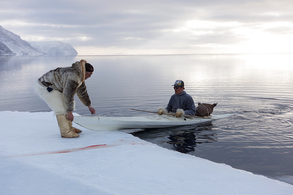 Inuit hunters use a kayak with a sealskin float to retrieve seals hunted at the floe edge, Greenland, Denmark, Polar Regions