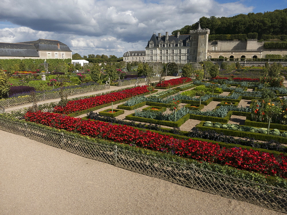 The kitchen gardens feature seasonal vegetables at the Chateau de Villandry, UNESCO World Heritage Site, Loire Valley near Tours, Indre et Loire, Centre, France, Europe