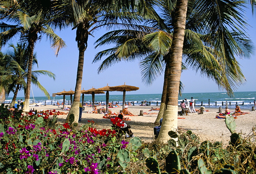 Palm trees and tourists, Bakau beach, the Gambia, West Africa, Africa