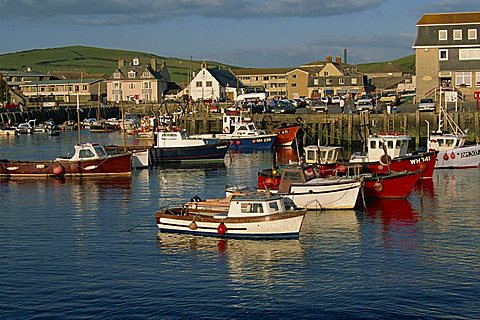 Boats moored in West Bay harbour, Dorset, England, United Kingdom, Europe