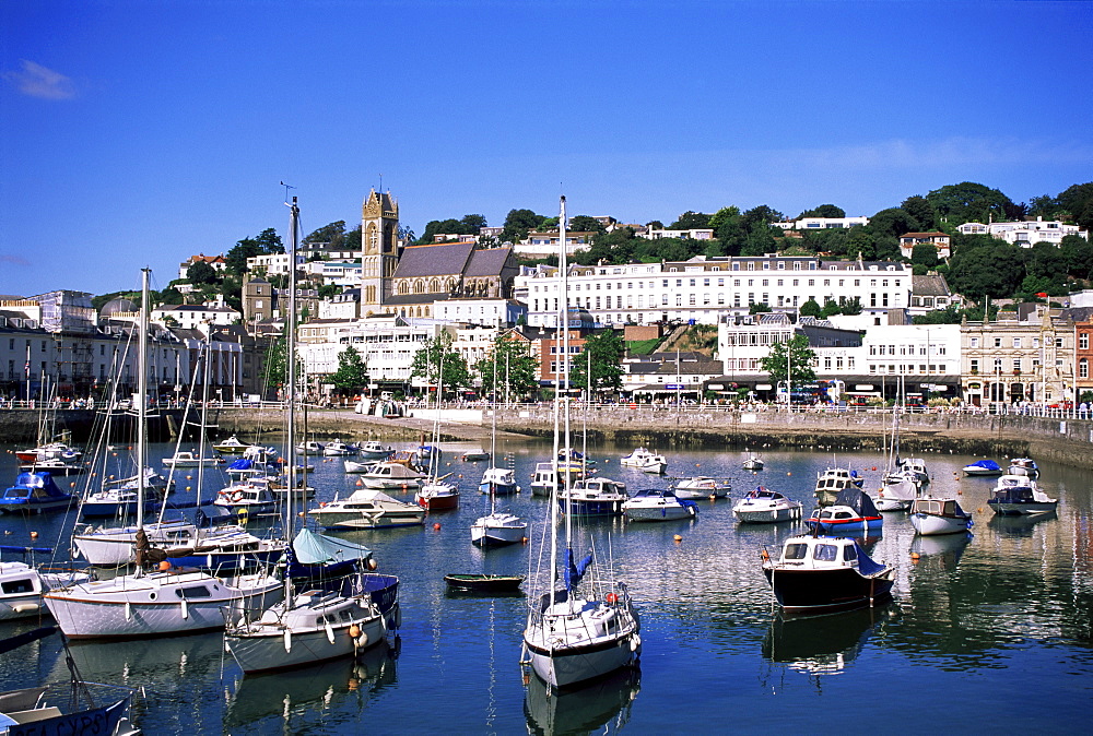 Harbour, Torquay, Devon, England, United Kingdom, Europe