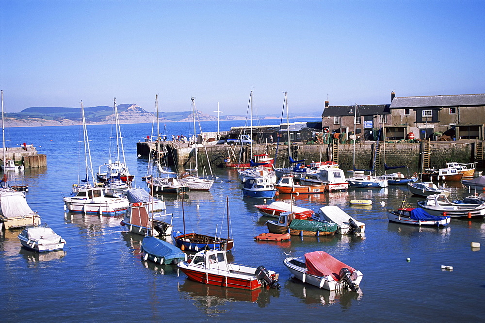 Boats in harbour, Lyme Regis, Dorset, England, United Kingdom, Europe