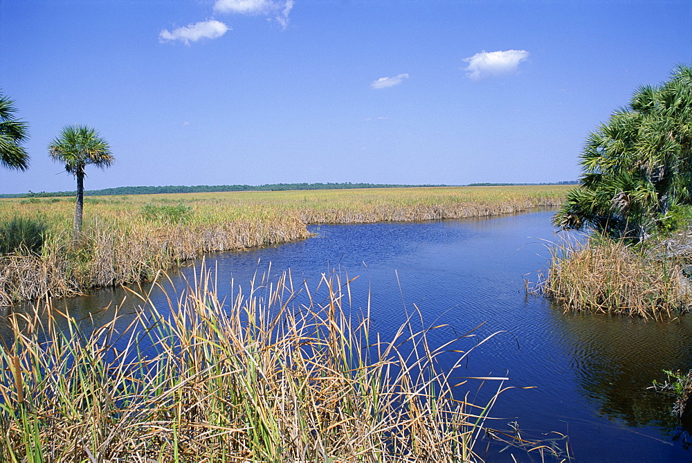 Everglades National Park, UNESCO World Heritage Site, Florida, United States of America (U.S.A.), North America