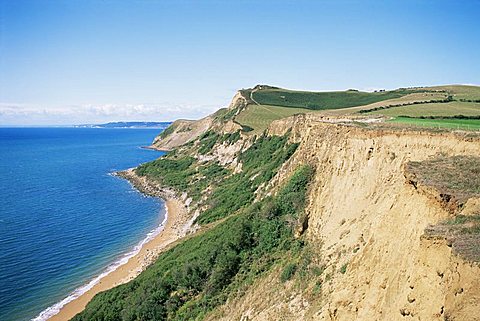 Thorncombe Beacon, Dorset, England, United Kingdom, Europe