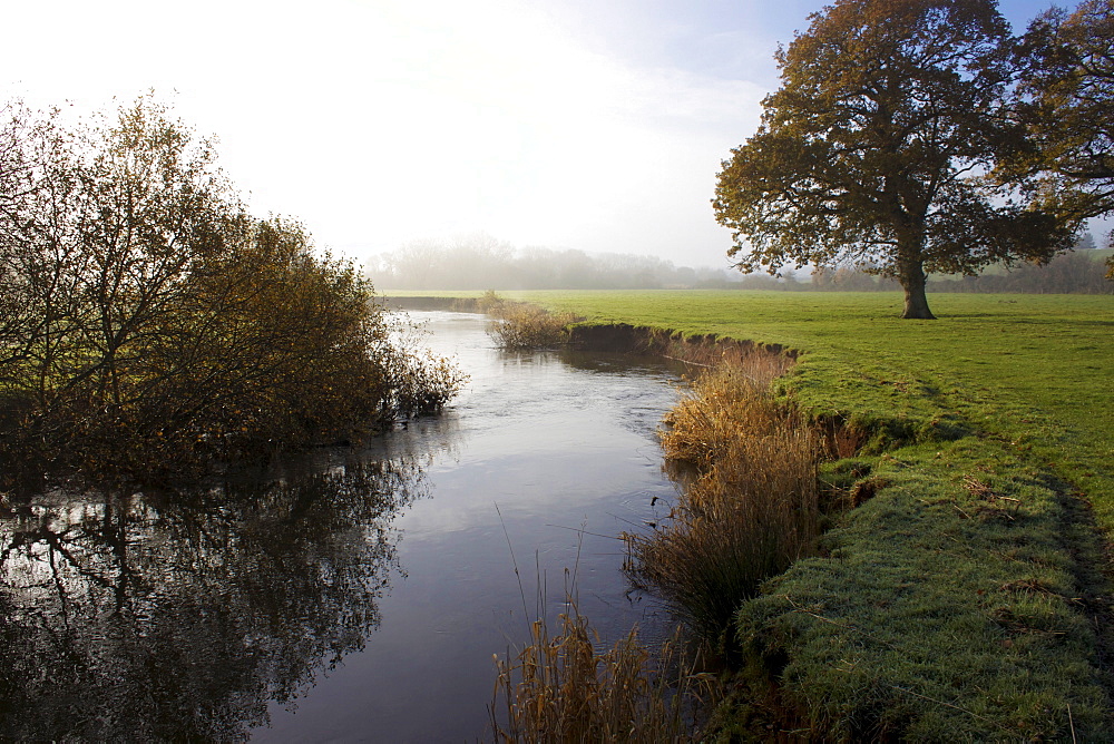 River Culm, Culm Valley, Devon, England, United Kingdom, Europe