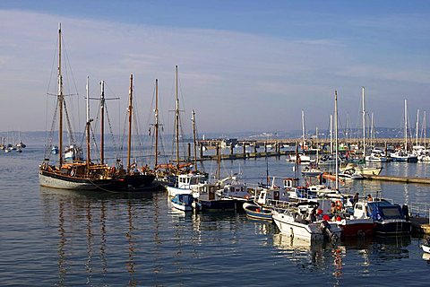 Marina, Brixham, Devon, England, United Kingdom, Europe