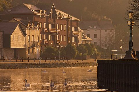 Exeter Quay, Exeter, Devon, England, United Kingdom, Europe