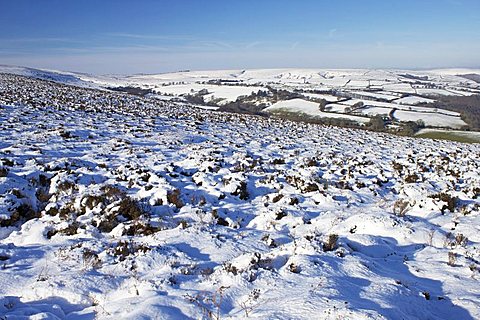 Near Dunkery Beacon, Exmoor National Park, Somerset, England, United Kingdom, Europe