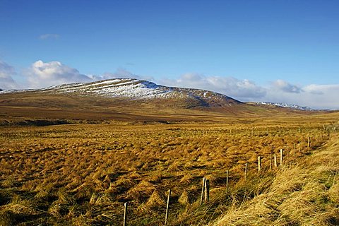 Ben Clach, near Crieff, Perthshire, Scotland, United Kingdom, Europe