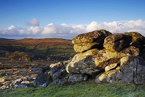 Evening light, Hound Tor, Dartmoor National Park, Devon, England, United Kingdom, Europe