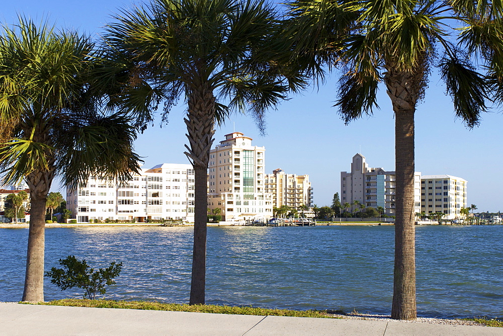 Sarasota, Gulf Coast, Florida, United States of America, North America