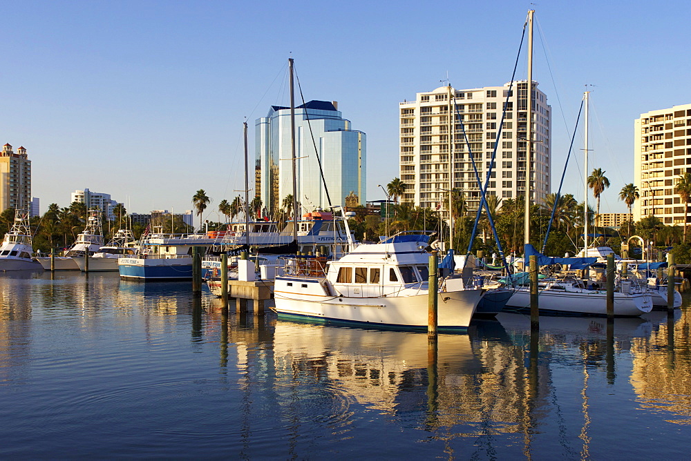 Sarasota, Gulf Coast, Florida, United States of America, North America