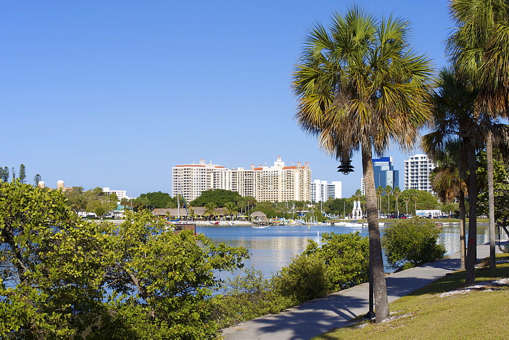 Sarasota, Gulf Coast, Florida, United States of America, North America