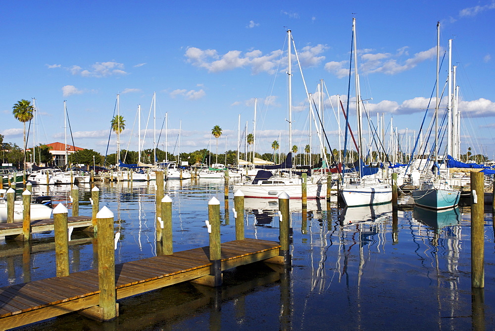 Marina, St. Petersburg, Gulf Coast, Florida, United States of America, North America